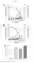 Fig. 03 - Eukaryotic cell with increased production of fermentation product