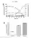 Fig. 06 - Eukaryotic cell with increased production of fermentation product