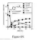 Fig. 07 - Biomass conversion to fuels and chemicals