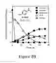 Fig. 08 - Biomass conversion to fuels and chemicals