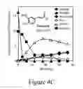 Fig. 09 - Biomass conversion to fuels and chemicals