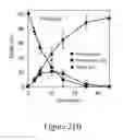 Fig. 67 - Biomass conversion to fuels and chemicals