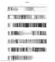Fig. 32 - Microbial oil extracted from stramenopiles