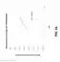 Fig. 07 - METHODS FOR DETECTING ENHANCED NMDA RECEPTOR FUNCTION AND USES THEREOF