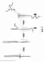 Fig. 02 - Hairpin loop method for double strand polynucleotide sequencing using transmembrane pores