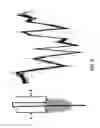 Fig. 06 - Hairpin loop method for double strand polynucleotide sequencing using transmembrane pores