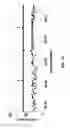 Fig. 22 - Hairpin loop method for double strand polynucleotide sequencing using transmembrane pores