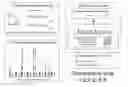 Fig. 01 - Amplicon preparation and sequencing on solid supports