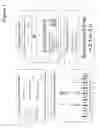 Fig. 02 - Amplicon preparation and sequencing on solid supports