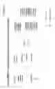 Fig. 06 - Amplicon preparation and sequencing on solid supports