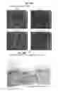 Fig. 28 - Method for generating Retinal Pigment Epithelium (RPE) cells from Induced Pluripotent Stem Cells (IPSCs)