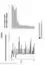 Fig. 02 - Transcriptomic index for characterizing the cellular repair response after soft tissue injury in diarthrodial joints