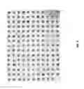 Fig. 07 - Massively parallel single cell analysis