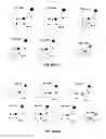 Fig. 43 - Massively parallel single cell analysis