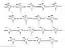 Fig. 01 - Metal complexes containing amidoimine ligands