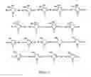 Fig. 02 - Metal complexes containing amidoimine ligands
