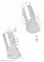 Fig. 07 - Spaced vent for metal roofs