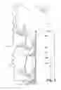 Fig. 03 - Covering for architectural opening including thermoformable slat vanes