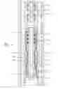 Fig. 09 - METHOD AND APPARATUS FOR TREATING A WELLBORE