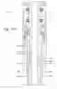 Fig. 22 - METHOD AND APPARATUS FOR TREATING A WELLBORE