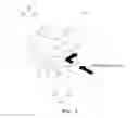 Fig. 06 - REACTION-TYPE STEAM TURBINE