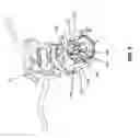 Fig. 06 - Systems and methods for preloading a bearing and aligning a lock nut