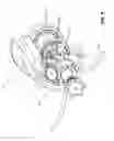 Fig. 03 - Systems and methods for preloading a bearing and aligning a lock nut