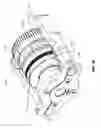 Fig. 31 - Systems and methods for preloading a bearing and aligning a lock nut