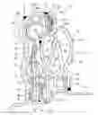 Fig. 01 - Torque converter including turbine piston and multi-plate clutch assembly