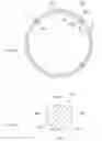 Fig. 05 - Seal Ring