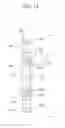 Fig. 12 - Sealing material and joint