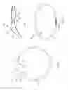 Fig. 07 - Connection apparatus for telescopic joint