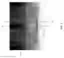 Fig. 03 - Optic assemblies and applications thereof