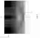Fig. 04 - Optic assemblies and applications thereof
