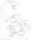 Fig. 12 - RIOT GEAR
