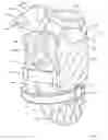 Fig. 13 - RIOT GEAR