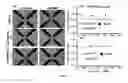 Fig. 08 - METHODS AND SYSTEMS FOR IDENTIFYING A PARTICLE USING DIELECTROPHORESIS