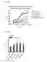 Fig. 05 - GRAM-POSITIVE BACTERIA SPECIFIC BINDING COMPOUNDS