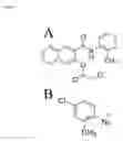 Fig. 02 - Method for the rapid and convenient detection and enumeration of neutrophils in biological samples