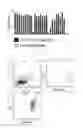 Fig. 07 - Method for producing antigen specific monoclonal antibody