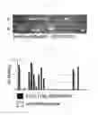 Fig. 08 - Method for producing antigen specific monoclonal antibody