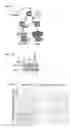 Fig. 02 - Methods of detecting progesterone receptor and of detecting an expression level