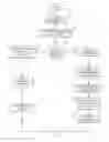 Fig. 01 - Systems and methods for calibrated multi-spectral magnetic resonance imaging