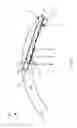 Fig. 02 - Systems, devices, and methods for curved waveguides integrated with curved eyeglass lenses