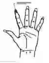 Fig. 01 - Adhesive stylus for finger