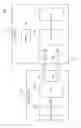 Fig. 13 - Apparatuses and methods for fixing a logic level of an internal signal line