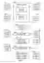 Fig. 06 - Segmentation and stratification of data entities in a database system