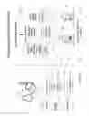 Fig. 02 - Method, system and software for searching, identifying, retrieving and presenting electronic documents