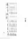 Fig. 06 - Detection and creation of appropriate row concept during automated model generation