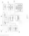 Fig. 02 - Disregarding audio content